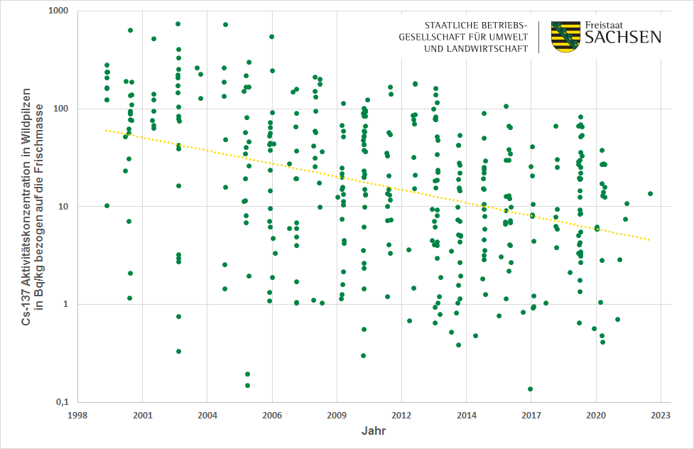 Messung der Cäsium 137 Aktivitätskonzentration in Bequerel pro kg. Die Messwerte variieren je nach Pilzart. Es ist eine exponentielle Abnahme erkennbar. Die MEsswerte liegen aktuell zwsichen 1 und 100 Bq.