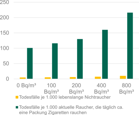 Die Grafik zeigt den Zusammenhang zwischen Radonkonzentration in der Innraumluft und dem Risikofaktor Rauchen. Nur für Raucher steigt das absolute Risiko für Lungenkrebs mit zunehmender Radonkonzentration von 0 bis 800 Bq/m³ von 10 % auf fast 25 %.